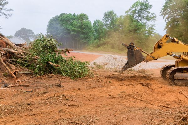 Forestry Mulching Service in Manteca