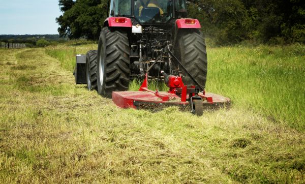 Brush Clearing Service in Manteca