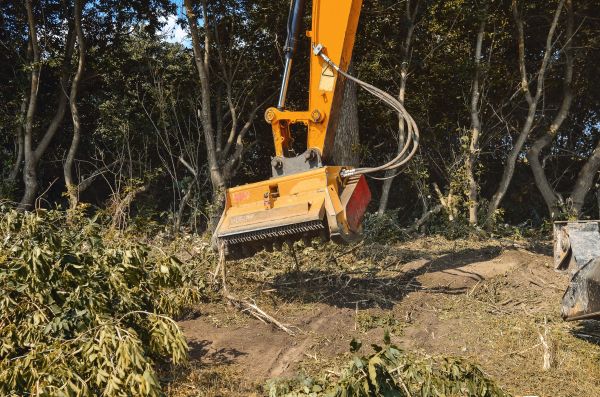 Brush Removal Service in Manteca