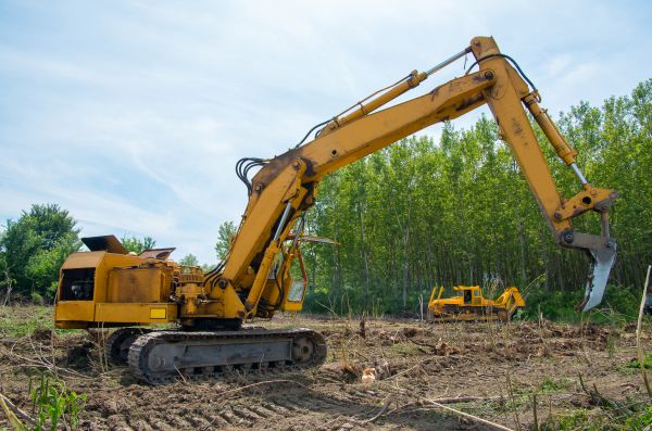 Farm Clearing in Manteca