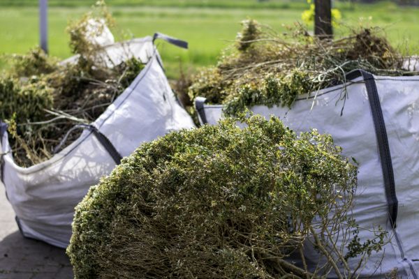 Bushes Clearing in Manteca