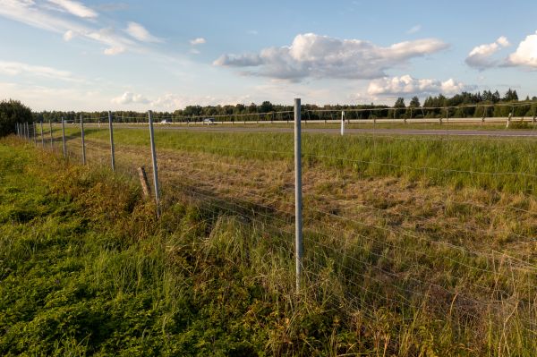 Property Line Clearing in Manteca
