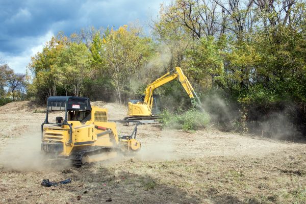 Terrain Clearing in Manteca