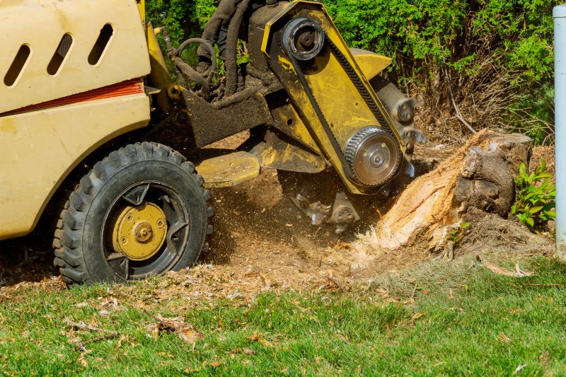 Stump Grinding Process